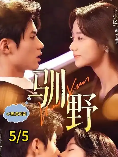 心跳频率 都市情感剧热播电视剧全集